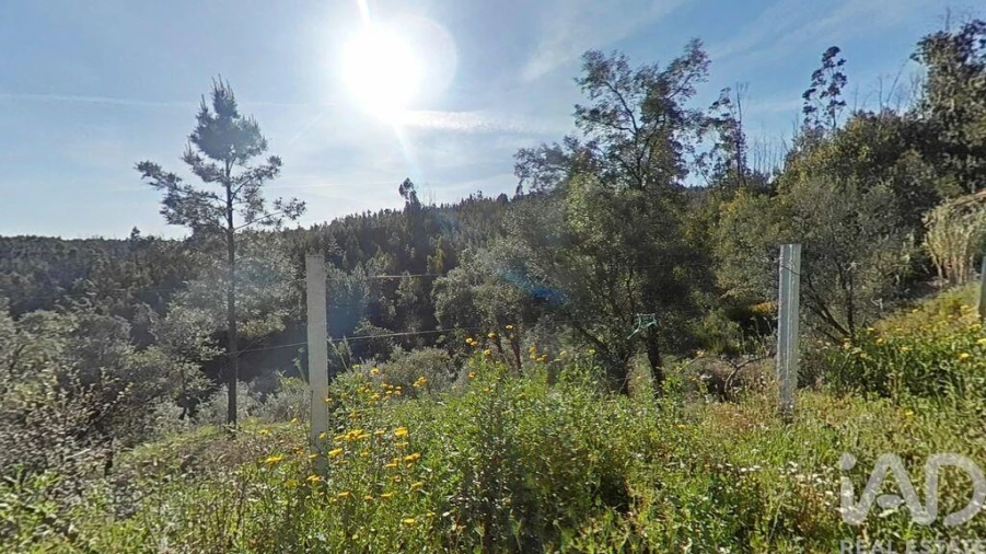 Terreno para Venda em Troviscal Foto 18