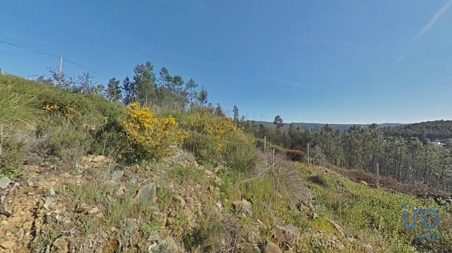 Terreno para Venda em Troviscal Foto 10