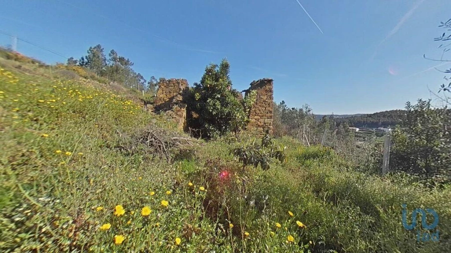 Terreno para Venda em Troviscal Foto 2