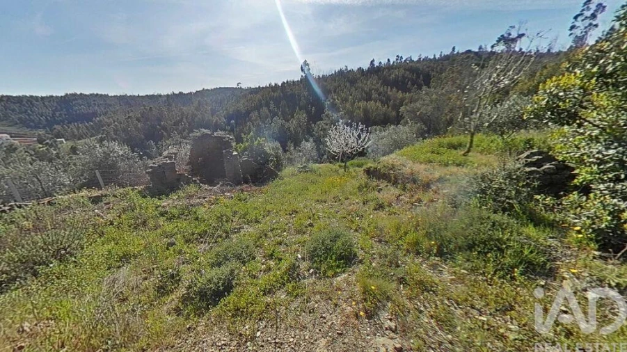 Terreno para Venda em Troviscal Foto 23