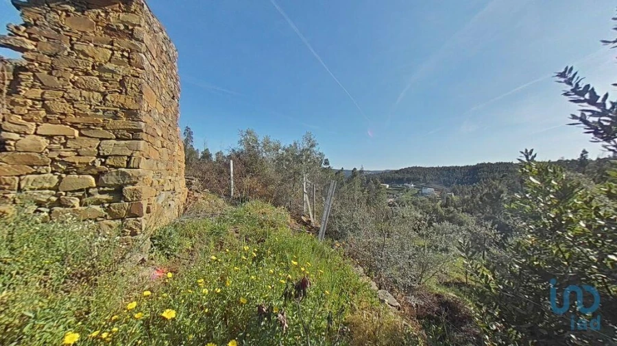 Terreno para Venda em Troviscal Foto 6