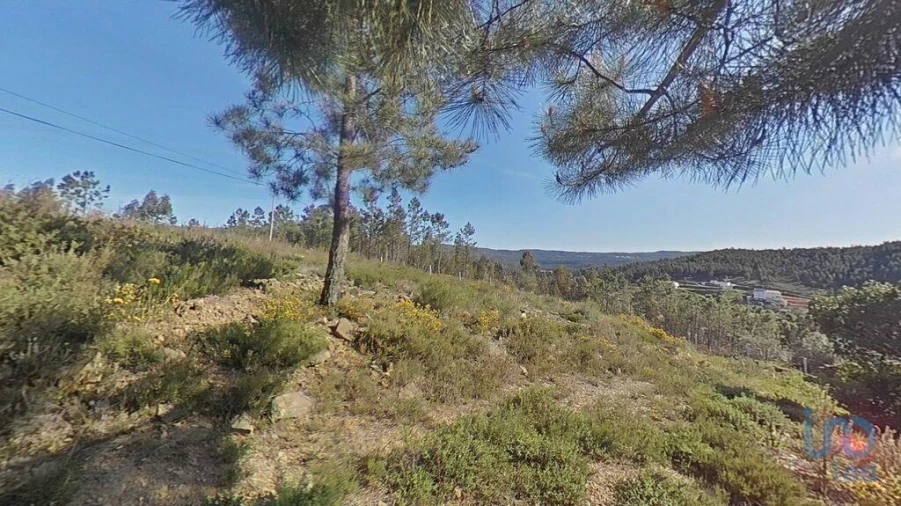 Terreno para Venda em Troviscal Foto 11