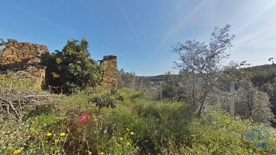 Terreno para Venda em Troviscal Foto 8