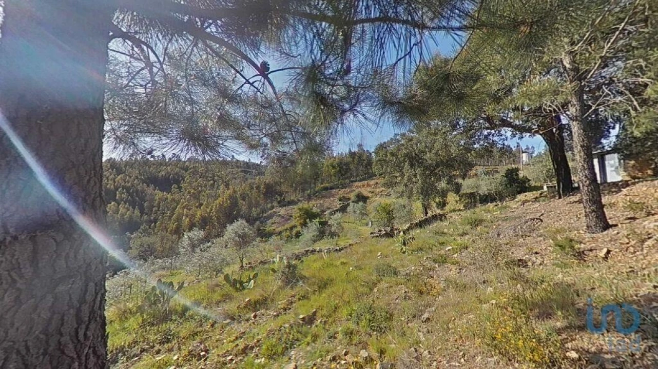 Terreno para Venda em Troviscal Foto 12