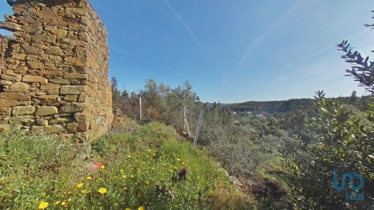 Terreno para Venda em Troviscal Foto 6