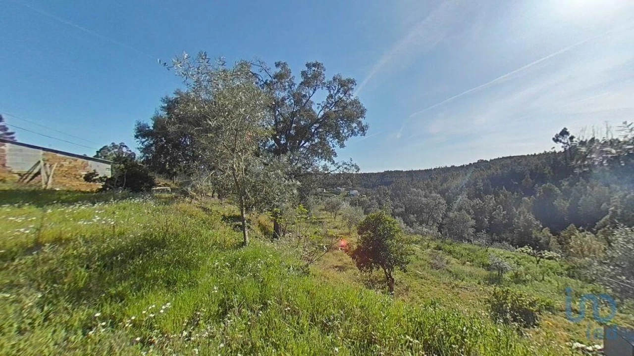 Terreno para Venda em Troviscal Foto 9