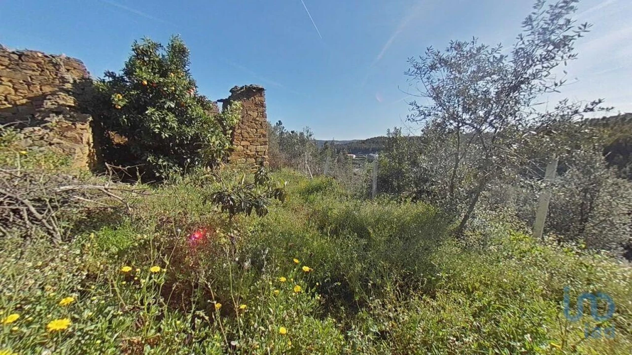 Terreno para Venda em Troviscal Foto 15