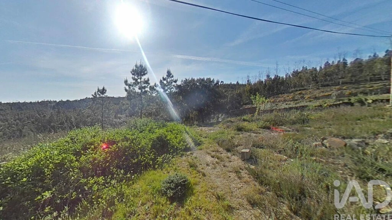 Terreno para Venda em Troviscal Foto 17