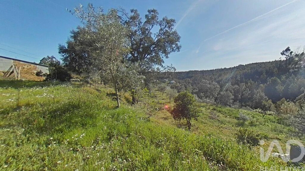 Terreno para Venda em Troviscal Foto 16
