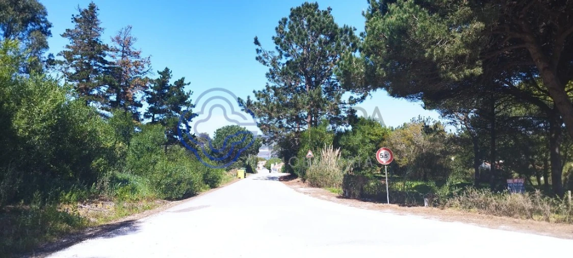 Terreno para Venda em Vau Foto 17