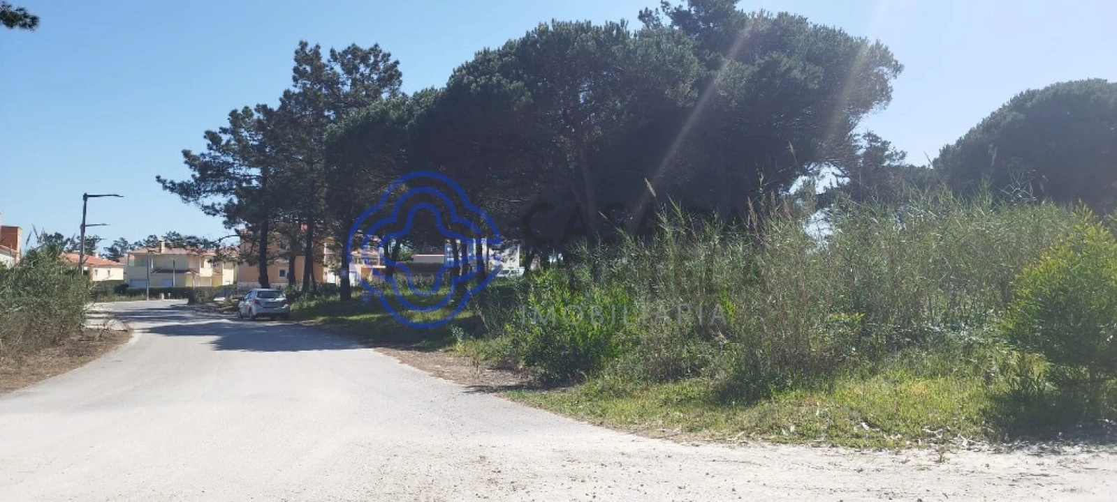 Terreno para Venda em Vau Foto 13