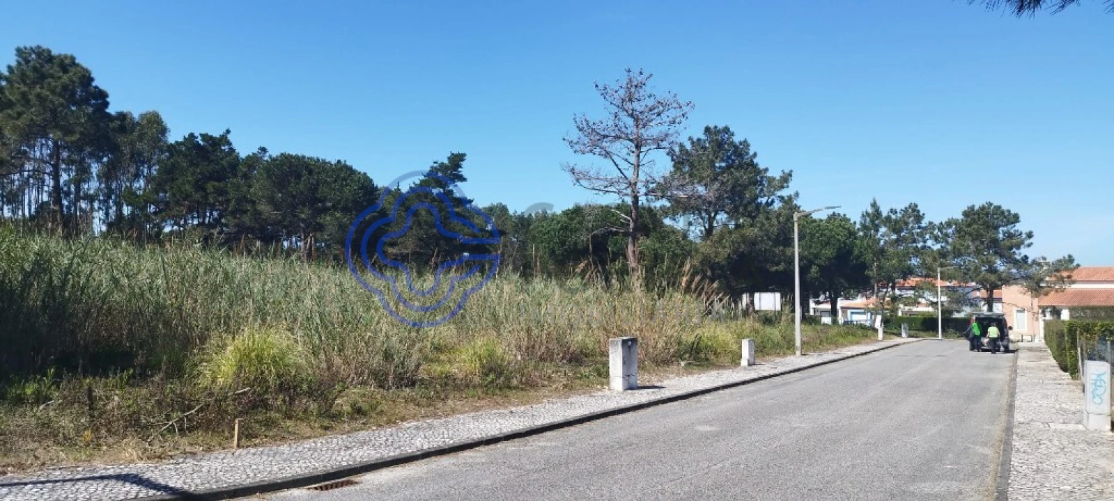 Terreno para Venda em Vau Foto 9