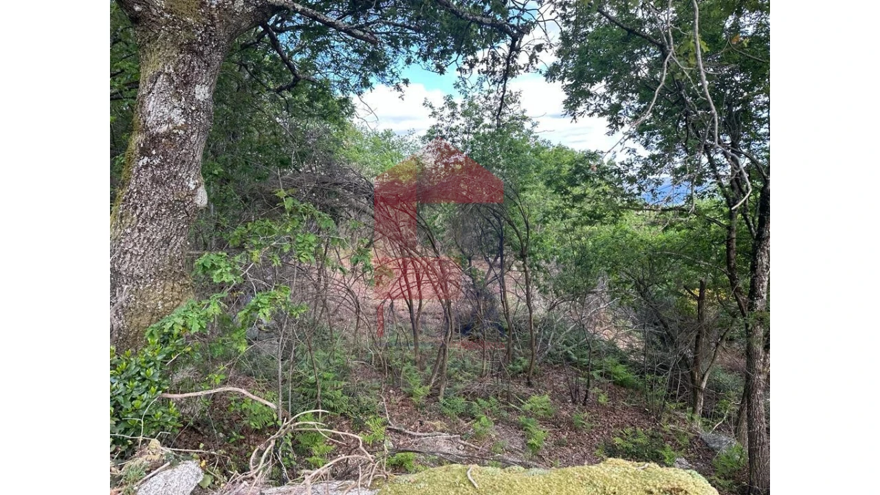 Terreno para Venda em Valdreu Foto 18