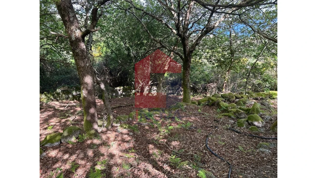 Terreno para Venda em Valdreu Foto 25