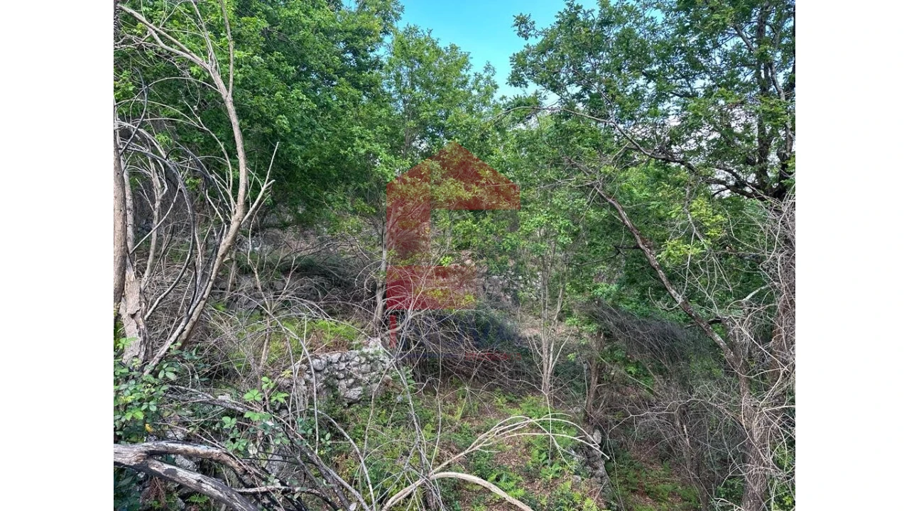 Terreno para Venda em Valdreu Foto 19