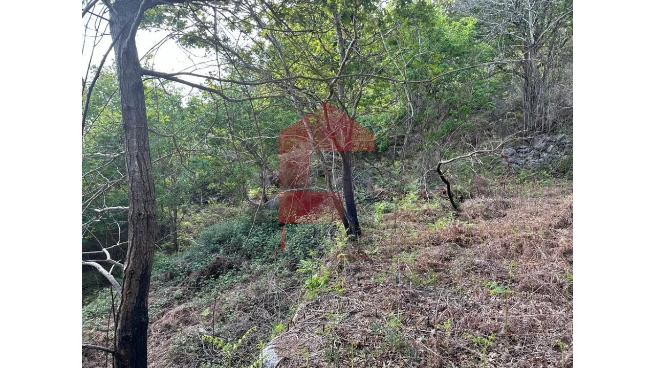 Terreno para Venda em Valdreu Foto 8