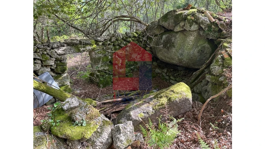 Terreno para Venda em Valdreu Foto 2