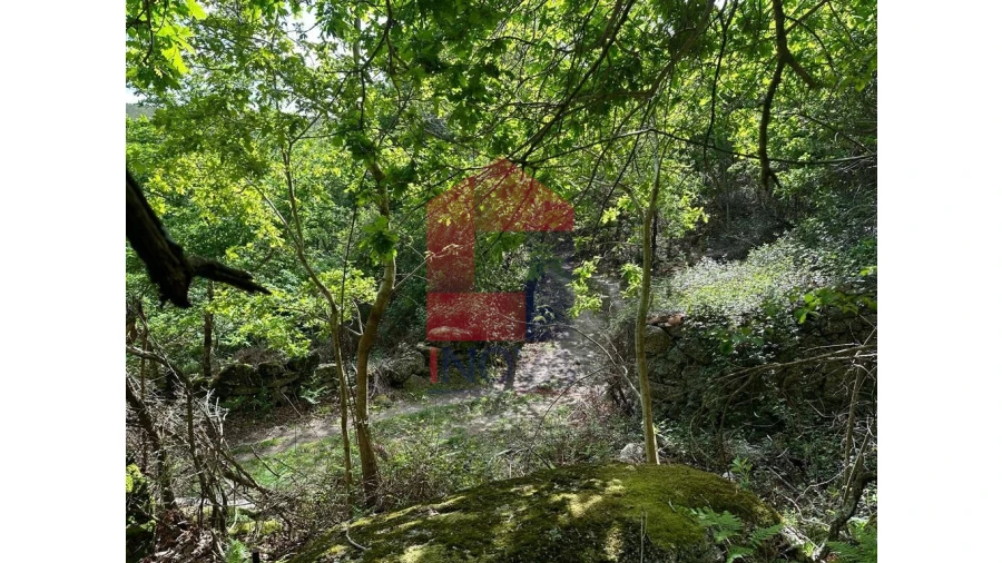 Terreno para Venda em Valdreu Foto 26