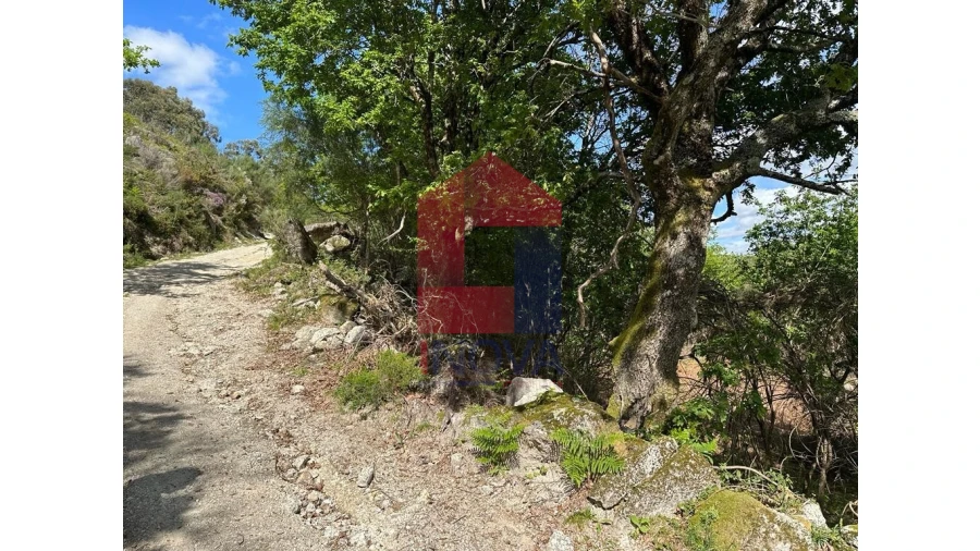 Terreno para Venda em Valdreu Foto 15