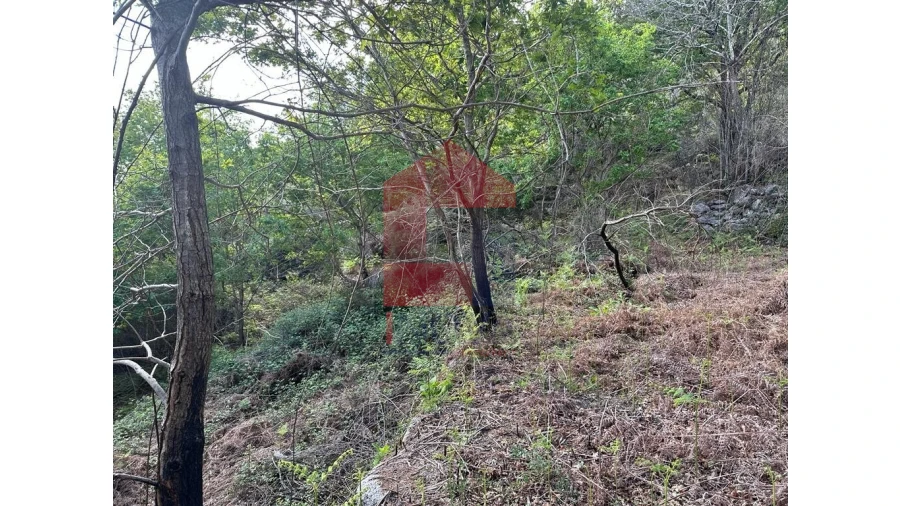 Terreno para Venda em Valdreu Foto 8