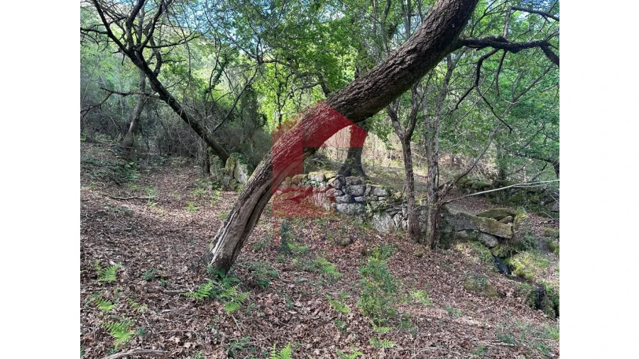 Terreno para Venda em Valdreu Foto 3