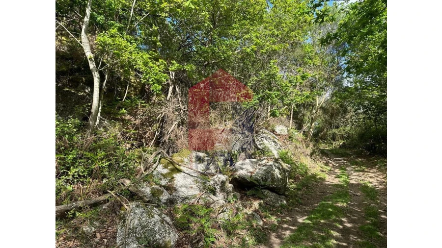 Terreno para Venda em Valdreu Foto 27