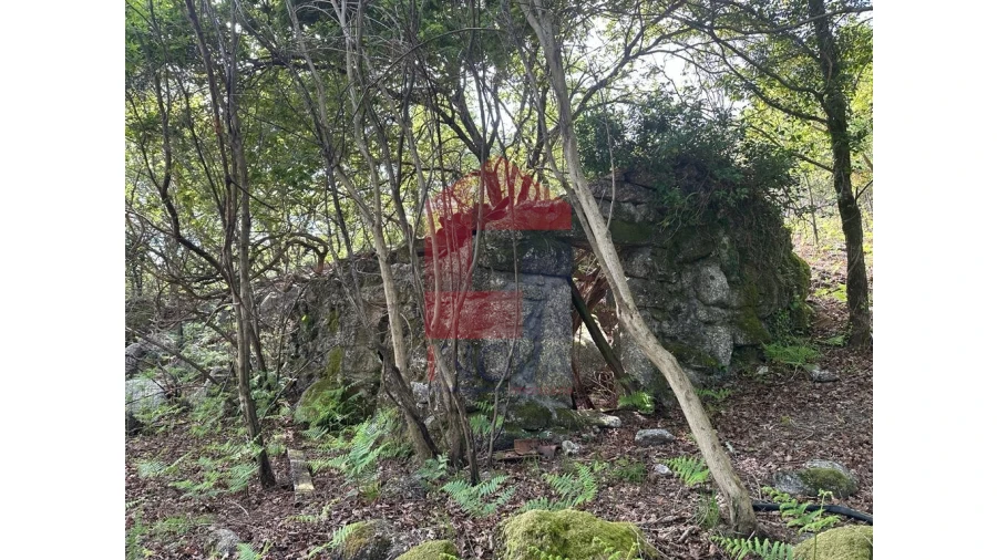 Terreno para Venda em Valdreu Foto 1