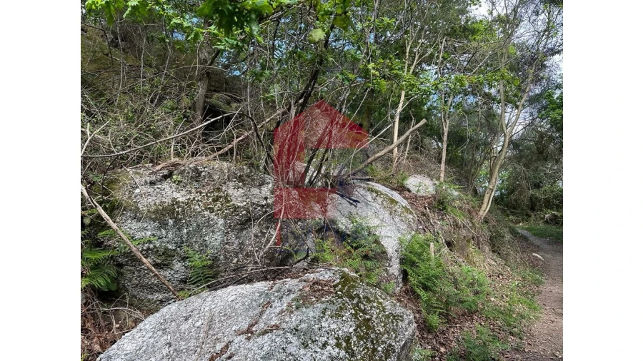 Terreno para Venda em Valdreu Foto 21