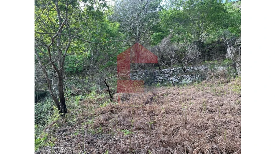 Terreno para Venda em Valdreu Foto 9