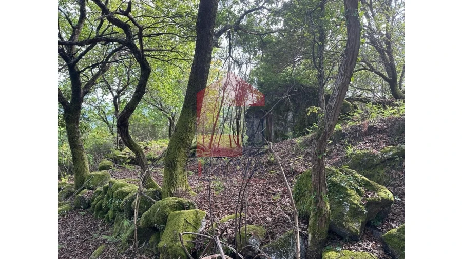 Terreno para Venda em Valdreu Foto 4
