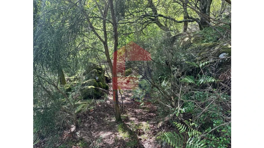 Terreno para Venda em Valdreu Foto 30