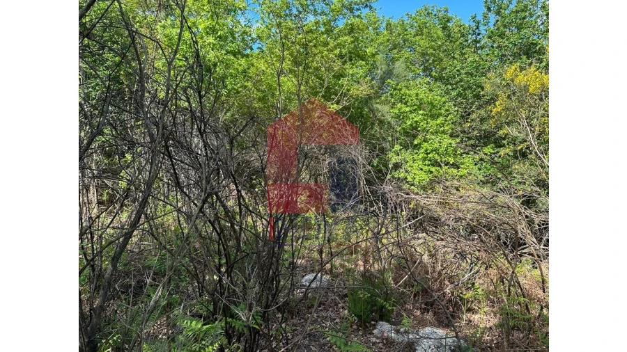 Terreno para Venda em Valdreu Foto 24