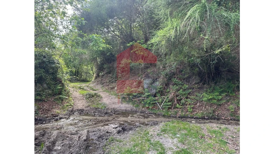 Terreno para Venda em Valdreu Foto 22