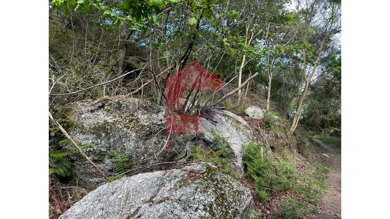 Terreno para Venda em Valdreu Foto 21