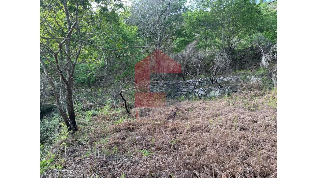 Terreno para Venda em Valdreu Foto 9