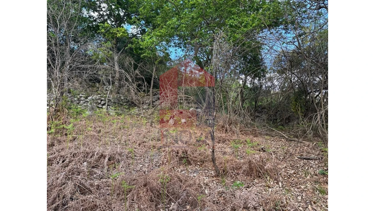 Terreno para Venda em Valdreu Foto 10