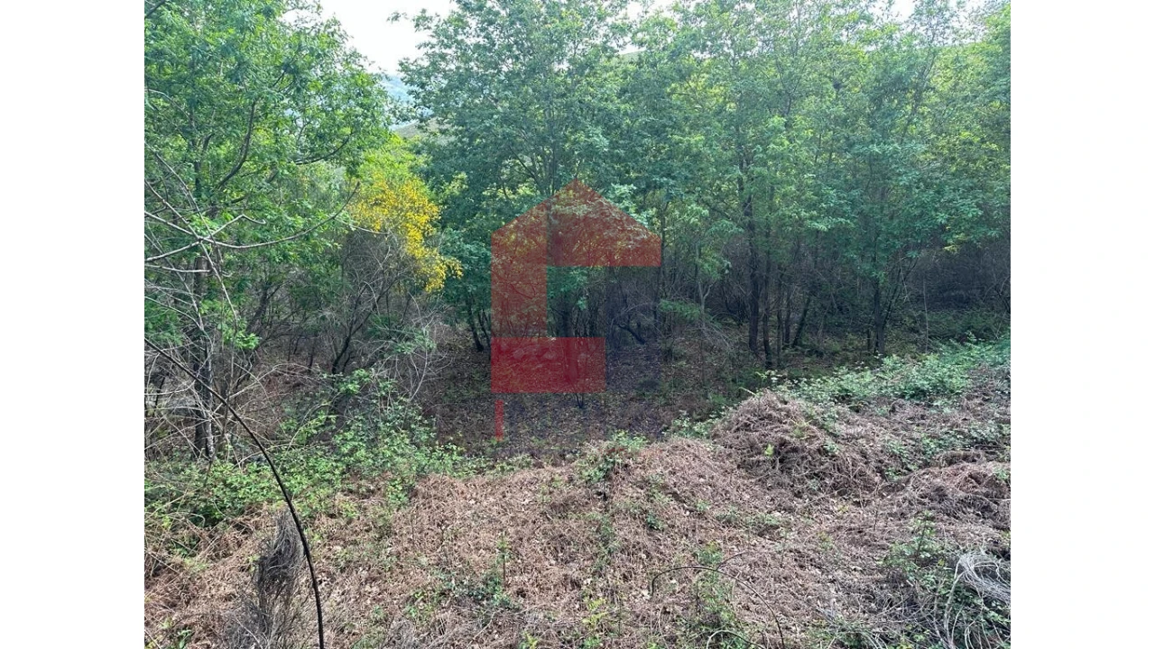 Terreno para Venda em Valdreu Foto 11