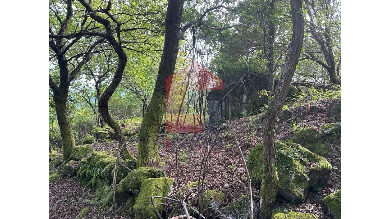 Terreno para Venda em Valdreu Foto 4