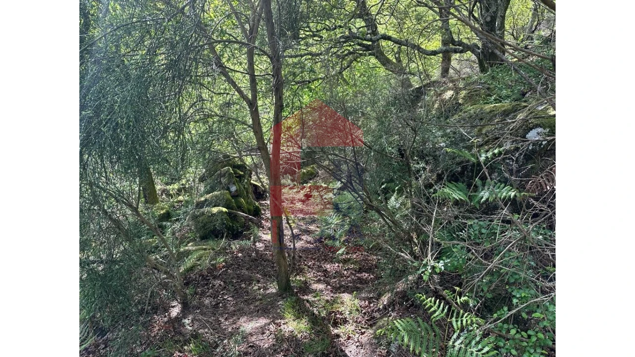 Terreno para Venda em Valdreu Foto 30
