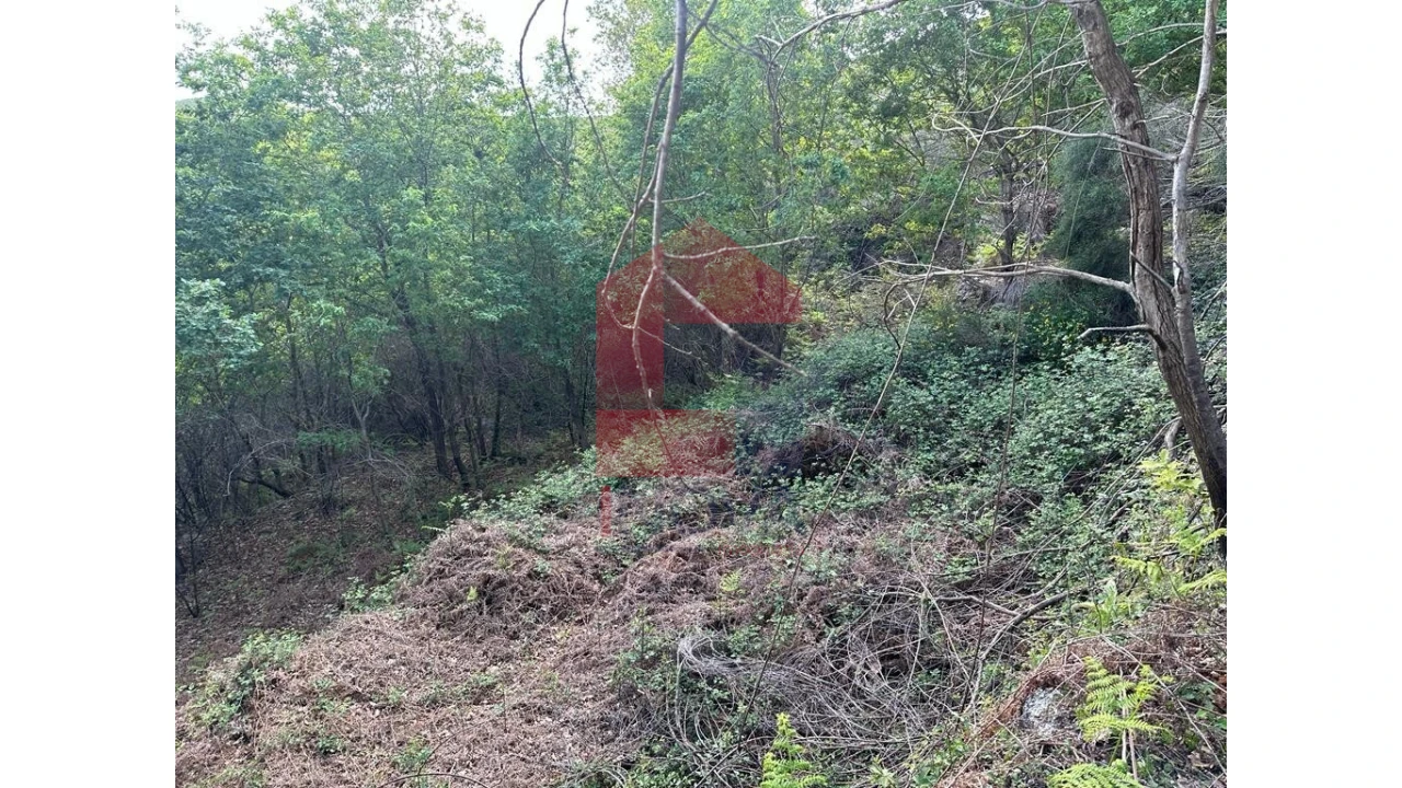Terreno para Venda em Valdreu Foto 12