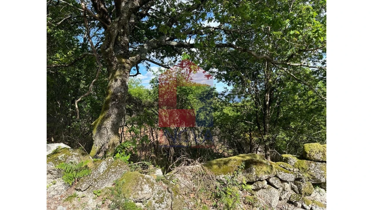 Terreno para Venda em Valdreu Foto 6