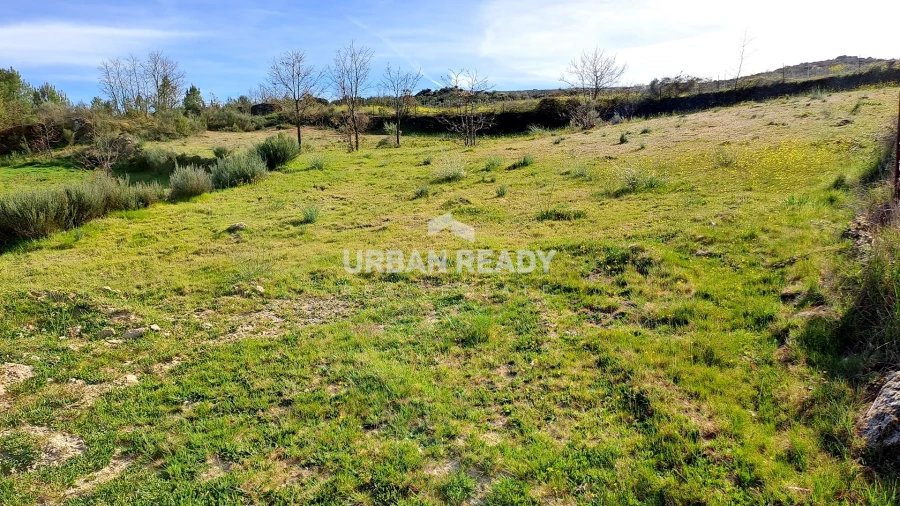 Moradia T13 para Venda em Riodades Foto 25