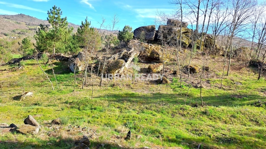 Moradia T13 para Venda em Riodades Foto 76