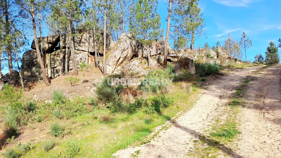 Moradia T13 para Venda em Riodades Foto 75