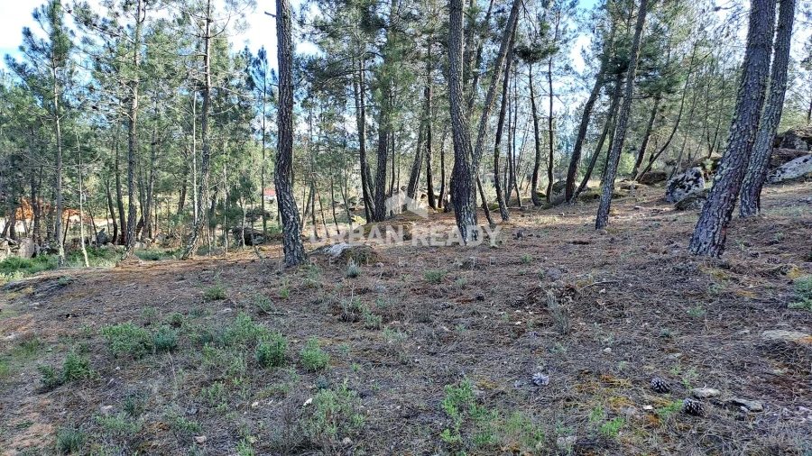 Moradia T13 para Venda em Riodades Foto 73