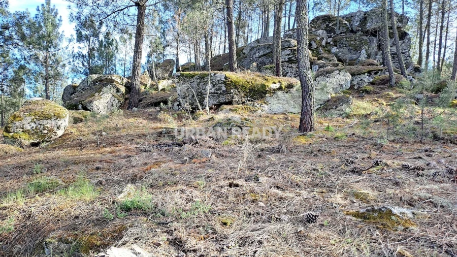 Moradia T13 para Venda em Riodades Foto 77