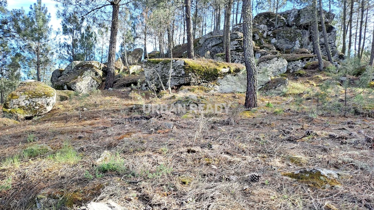 Moradia T13 para Venda em Riodades Foto 77