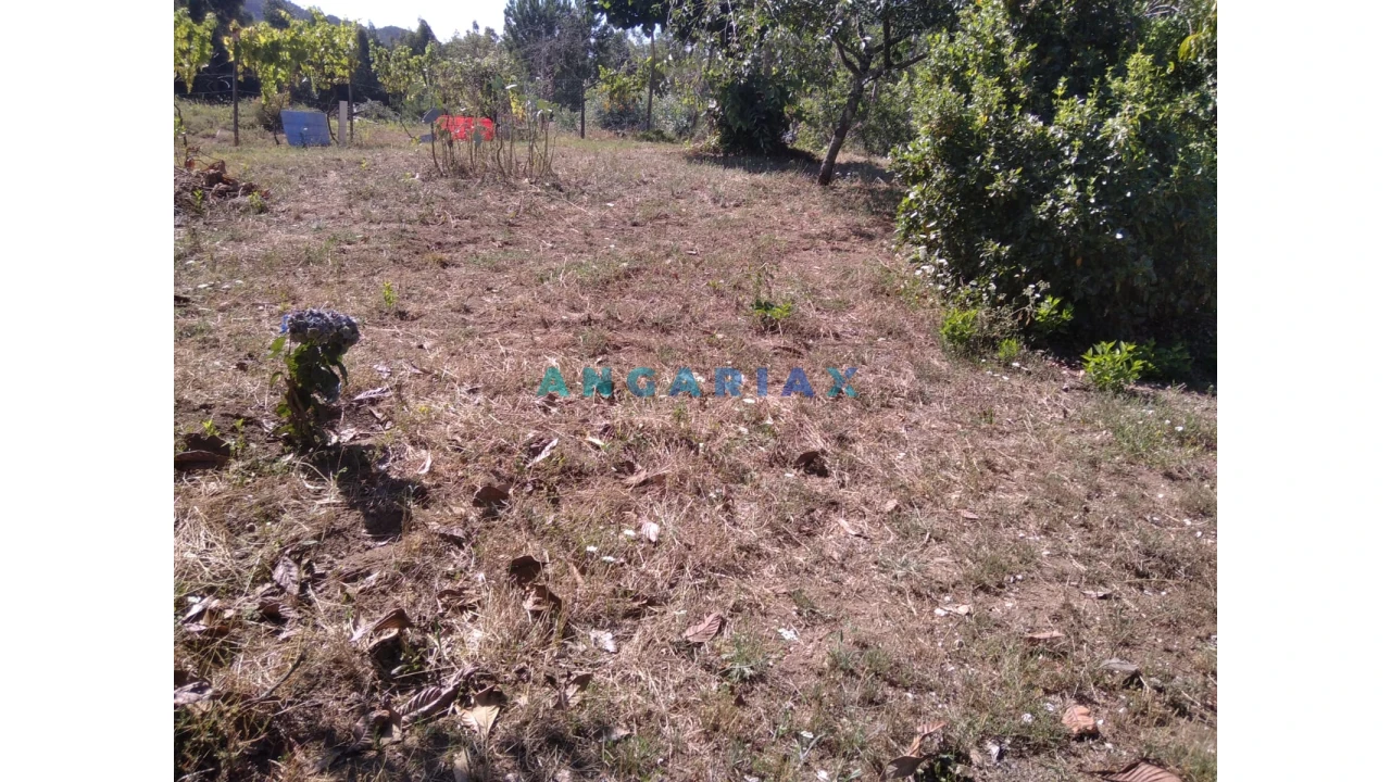Terreno para Venda em Figueiró dos Vinhos e Bairradas Foto 46