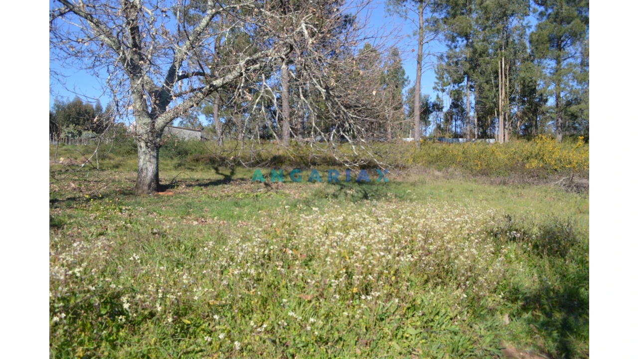 Terreno para Venda em Figueiró dos Vinhos e Bairradas Foto 23