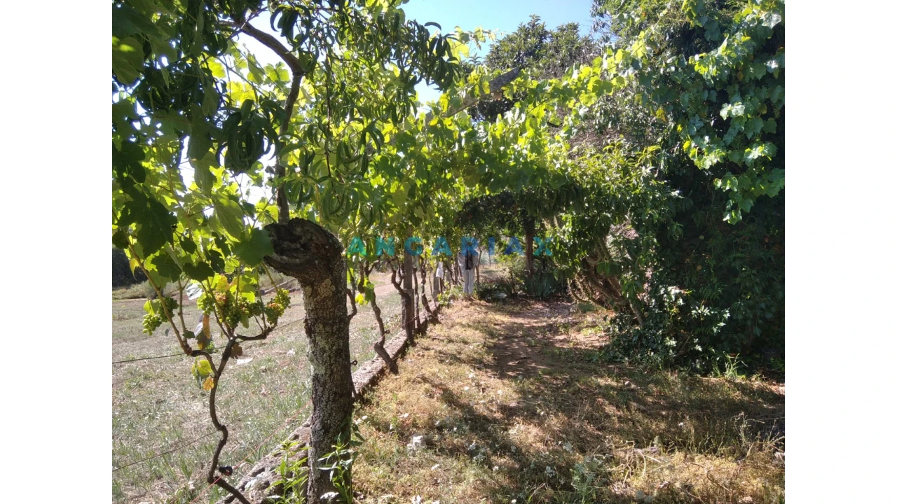 Terreno para Venda em Figueiró dos Vinhos e Bairradas Foto 37